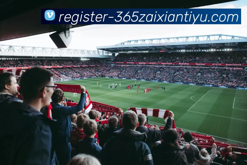 beat365平台生态图